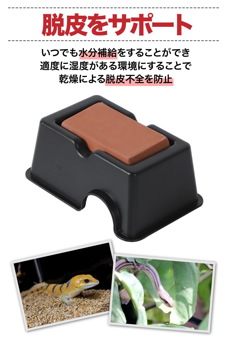 Amazon | AllBright レオパゲッコー用の隠れ家 洞窟穴 トカゲ